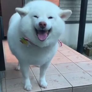 Meet your Posher, Marion